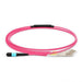 EAN 5704174870869 - Lanview LVO230501-MTP Cable de fibra óptica e InfiniBand 1 m LC Violeta imagen 1