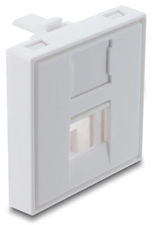 EAN 4043619815524 - DeLOCK 81552 accesorio para módulo Keystone Soporte para instalación en carcasa imagen 2