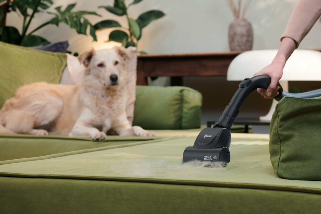 EAN 8059019095837 - Hoover HE120PET 011 2,5 L Aspiradora cilíndrica Secar 700 W Bolsa para el polvo imagen 11
