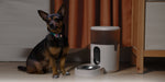 EAN 6970504218178 - Aqara PETC1-M01 comedero y bebedero para perro y gato Plástico Blanco Universal Comedero automático para  imagen 8