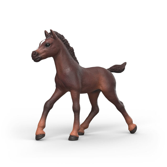 Schleich Horse Club Sammelfohlen Ravi 81479