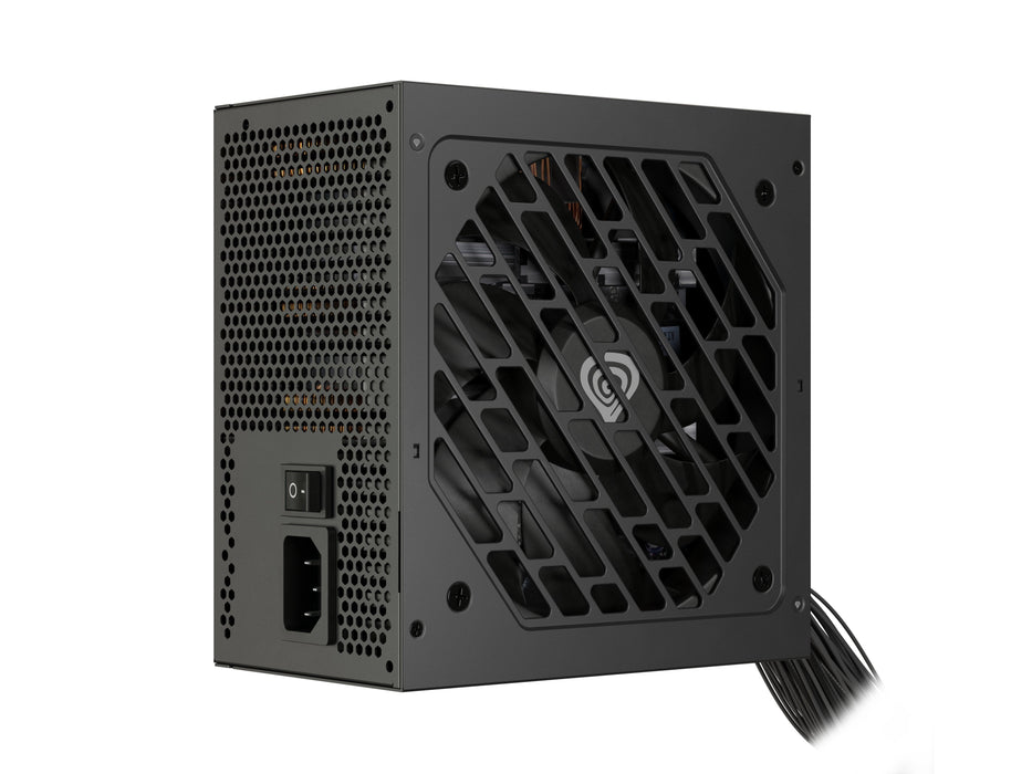 Fuente De Alimentación Genesis Nihon 650nm  650 W 20+4 Pin Atx Atx Negro