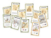 EAN 8435407601956 - Asmodee EEDVBA02 juego de tablero Bang! Dodge City 30 min Juego De Cartas Interpretación de roles imagen 2