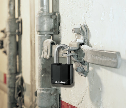 EAN 3520190930392 - MASTER LOCK M115EURDLF candado Candado convencional 1 pieza(s) imagen 2