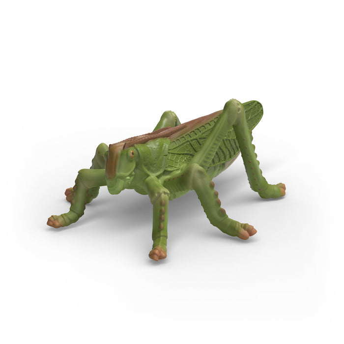 Schleich Insekten Entdecker Set 42741