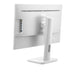 EAN 4038986146555 - AOC P1 X24P1/GR pantalla para PC 61 cm (24") 1920 x 1200 Pixeles WUXGA LED Gris imagen 7