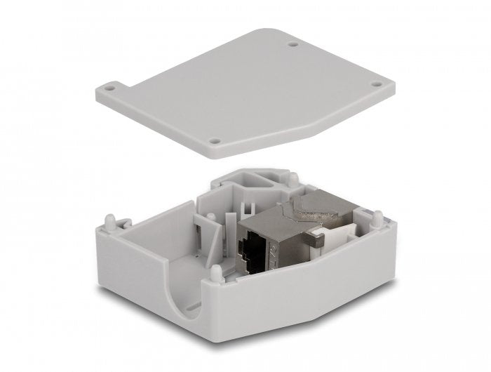 EAN 4043619869596 - DeLOCK 86959 módulo de conector de red imagen 2