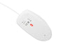 EAN 5901969437294 - NATEC NMY-1988 ratón Oficina USB tipo A Óptico imagen 6