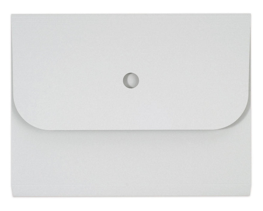 Elco 25 Sammelmappen Ordo Forte 0.3 Cm Gris