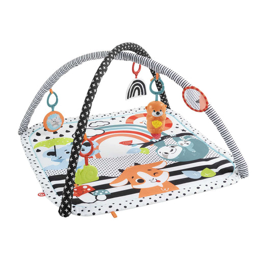 EAN 0194735000319 - Fisher-Price HBP41 gimnasio para bebé y tapete de juego Tela, Plástico Multicolor Gimnasio para bebés imagen 1