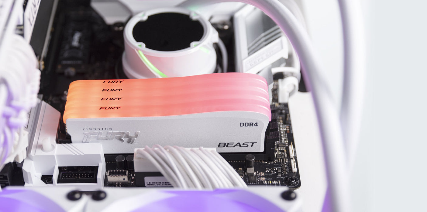 EAN 740617330366 - Kingston Technology FURY Beast RGB Special Edition módulo de memoria 1 x 8 GB 3600 MT/s 288-pin DIMM imagen 6