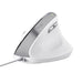 EAN 8713439253979 - Trust Bayo II ratón Oficina mano derecha USB tipo A Óptico 2400 DPI imagen 2