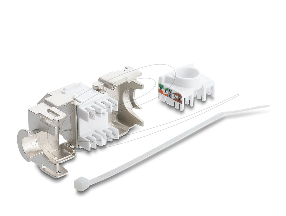 Delock Keystone Modulorj45 Hembra A Lsa Cat.6a 45° Angulare Hembra Geschirmt