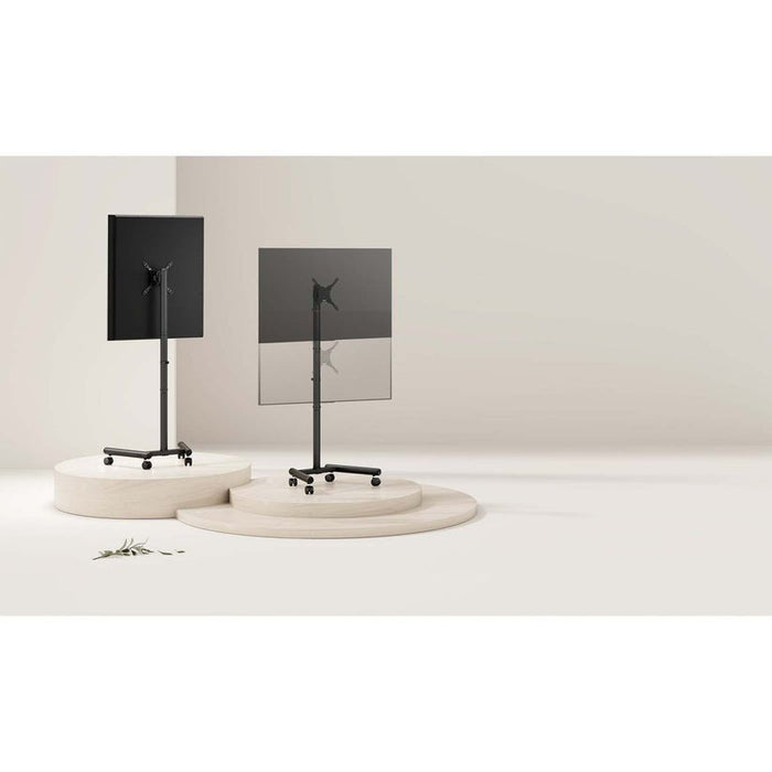 Manhattan Kompakter Tv- & Monitormänder A. Rollen 13"-50"