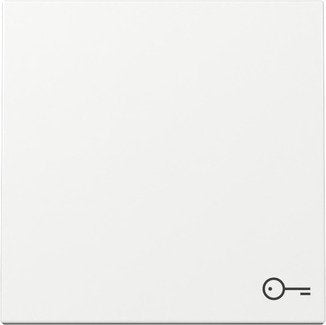 Gira 328703 Placa De Pared Y Cubierta De Interruptor Blanco