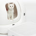 EAN 6973293807301 - PETKIT P9219 accesorio de bandeja higiénica para perro y gato imagen 2