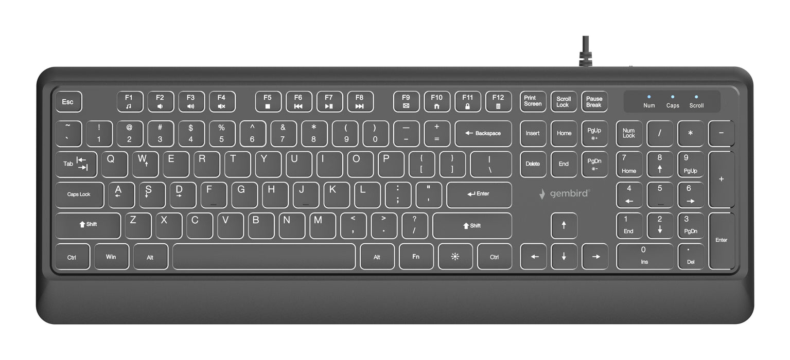 Gembird Slim Wired Backlight Keyboard Negro Us Layout