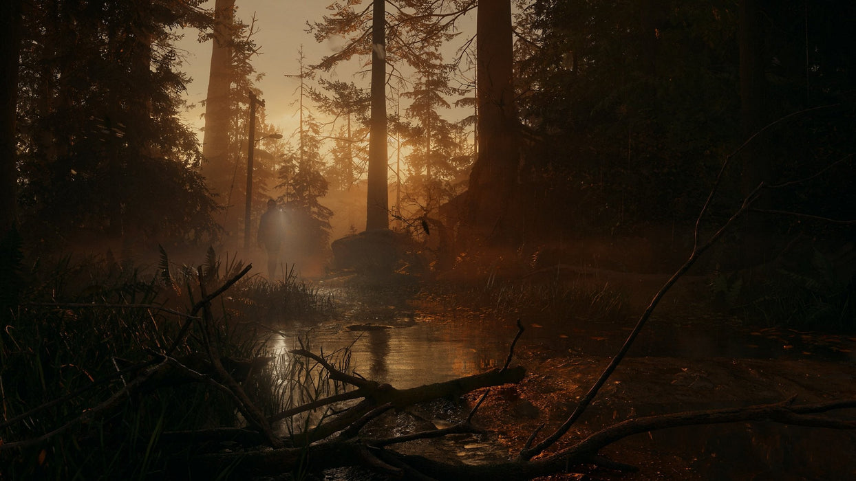 Ps5 Alan Wake 2 Deluxe Edition Eu