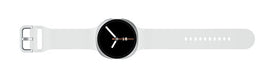 EAN 8806097480730 - Samsung Galaxy Watch 8 3,81 cm (1.5") AMOLED 44 mm Digital 480 x 480 Pixeles Pantalla táctil Plata Wifi G imagen 5