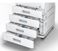 EAN 8715946703480 - Epson WorkForce Enterprise​ AM-C550 Inyección de tinta A4 600 x 1200 DPI imagen 11