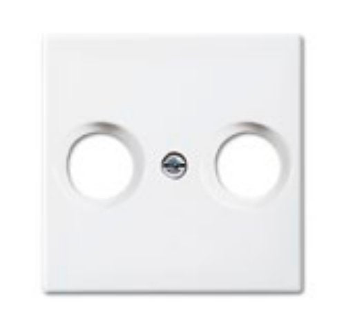 EAN 4011395190746 - Busch-Jaeger 1724-0-4334 placa de pared y cubierta de interruptor Blanco imagen 1