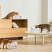 EAN 6972884750873 - CATLINK Pure 3 AI comedero y bebedero para perro y gato Acrilonitrilo butadieno estireno (ABS) Blanco Uni imagen 3