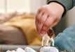 EAN 4069111336602 - schleich FARM WORLD 14930 figura de juguete para niños imagen 3