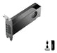 EAN 3536403404116 - PNY RTX PRO 2000 Blackwell NVIDIA 16 GB GDDR7 imagen 5