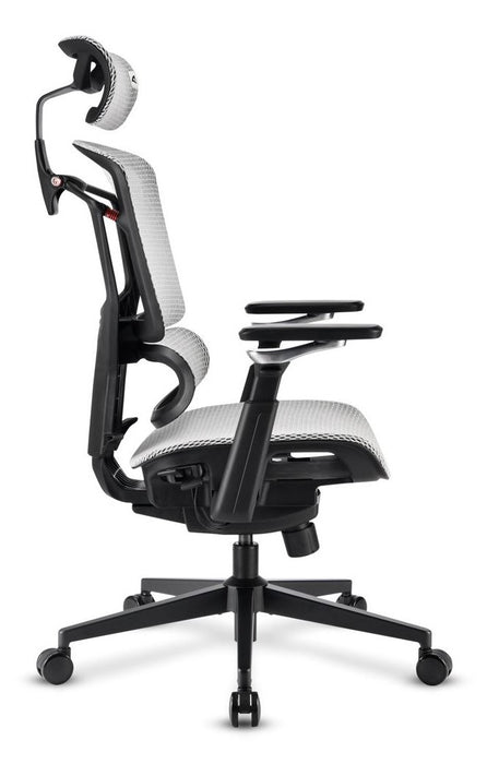 EAN 4044951045051 - Sharkoon OfficePal C50M Asiento acolchado Respaldo de rejilla imagen 3