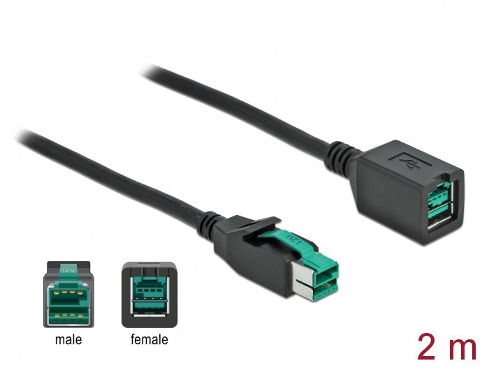 Delock Powerojousb Verlängerungscable 12 V 2 M