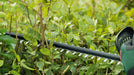 EAN 4059952558790 - Bosch Universal HedgeCut 18V-50 Cuchilla sencilla 2,6 kg imagen 5