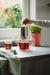 EAN 8720052011343 - Bredemeijer 165024 tetera Un sola tetera 1000 ml Transparente imagen 4