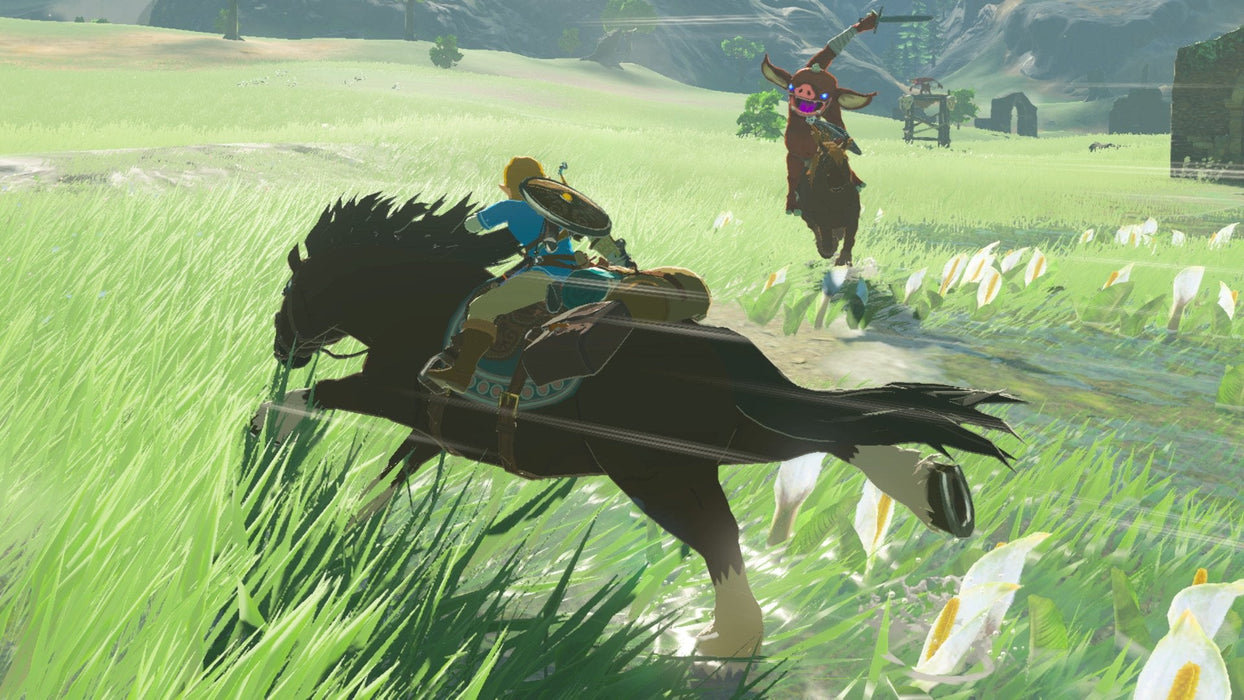 Switch The Legend Of Zelda Breath Of The Wild
