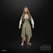 EAN 5010993993710 - Star Wars The Black Series F43525X0 toy figure imagen 3