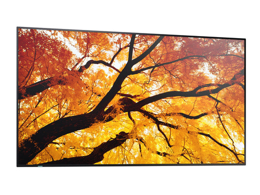 EAN 4550556131018 - Sharp MultiSync M432 Pantalla plana para señalización digital 108 cm (42.5") LCD 550 cd / m² 4K Ultra HD  imagen 2