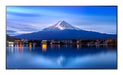EAN 4550556131056 - Sharp MultiSync P556 Diseño de quiosco 139,7 cm (55") LCD 700 cd / m² 4K Ultra HD Negro Procesador incorp imagen 1
