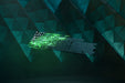 EAN 8886419348603 - Razer Huntsman V2 teclado Juego USB QWERTZ Alemán Negro imagen 5