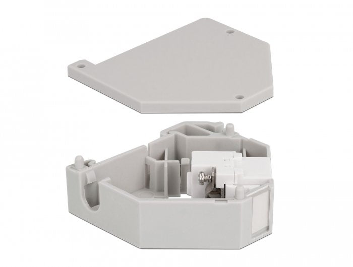 Delock Adaptador De Carril Din Con Keystone Iec Hembra A Bloque De Terminales