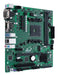 EAN 4711081250098 - ASUS PRO A520M-C II/CSM AMD A520 Zócalo AM4 micro ATX imagen 4