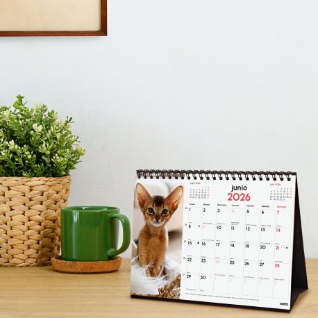 EAN 8422952402268 - Finocam 780323826 calendario Mesa imagen 2