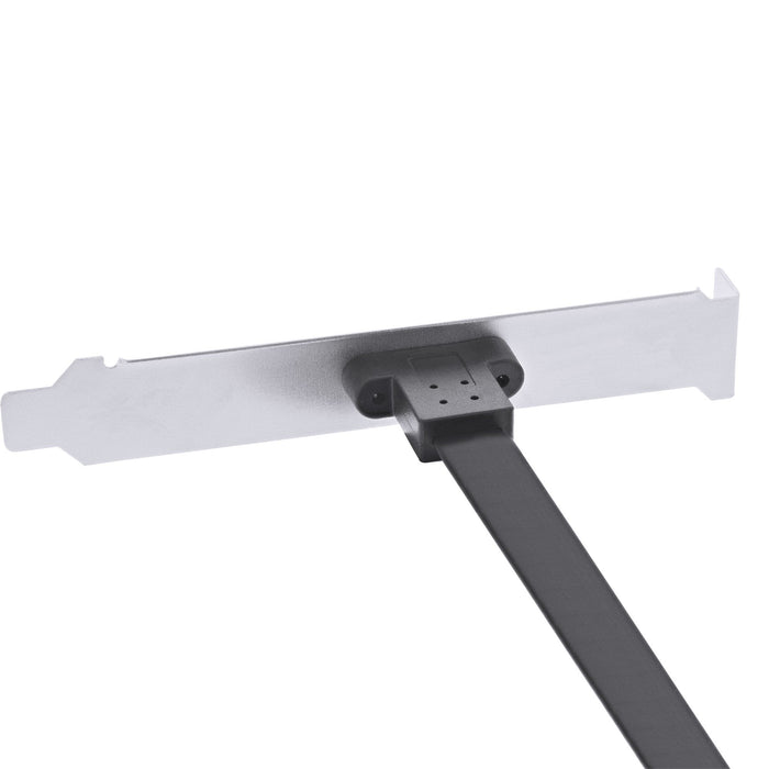 Inline Slot Bracket Usb Type-C A Usb 3.1 Panel Frontal Key-A Internal, 0.3m
