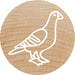 EAN 9004362534471 - Colop 165224 imagen 10