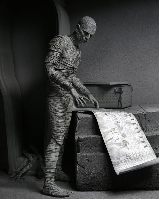 EAN 0634482048122 - NECA Ultimate Mummy (Black & White) imagen 12