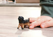 EAN 4069111319728 - schleich 14925 figura de juguete para niños imagen 3