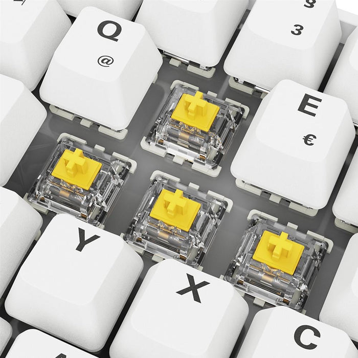 EAN 4044951041947 - Sharkoon SGK50 S4 teclado Hogar USB QWERTZ Alemán Blanco imagen 9