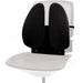 EAN 0043859721856 - Fellowes 8026401 soporte lumbar para respaldos Negro imagen 2