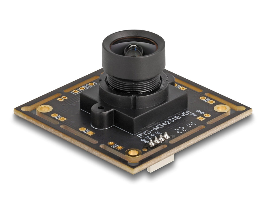 Delock Usb 2.0 Kameramodul 2.1 Megapixel 94° V6 Fixfokus