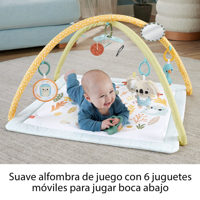 Gimnasio Infantil Despierta Tus Sentidos