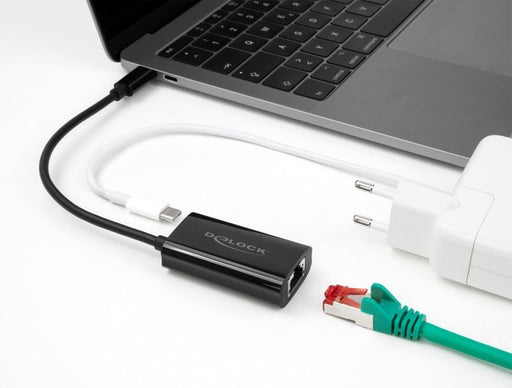 EAN 4043619610266 - DeLOCK 61026 cambiador de género para cable USB C RJ45 Negro imagen 2