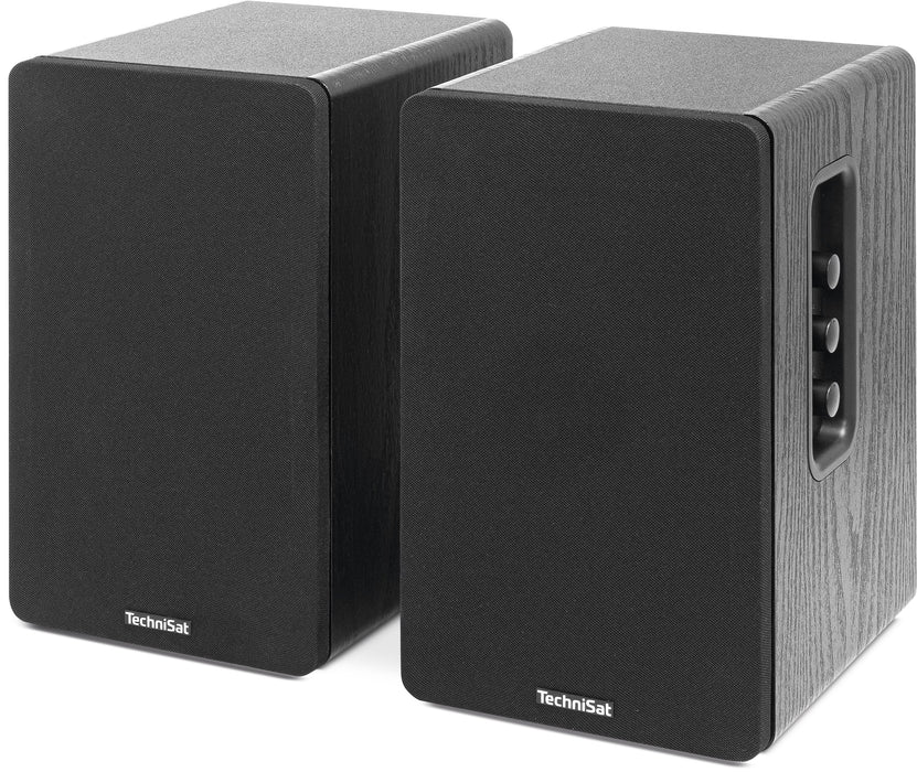 Technisat Audiomaster Rls 1